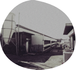 試行錯誤の60年