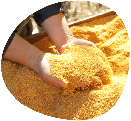 エサの配合次第で変わる卵